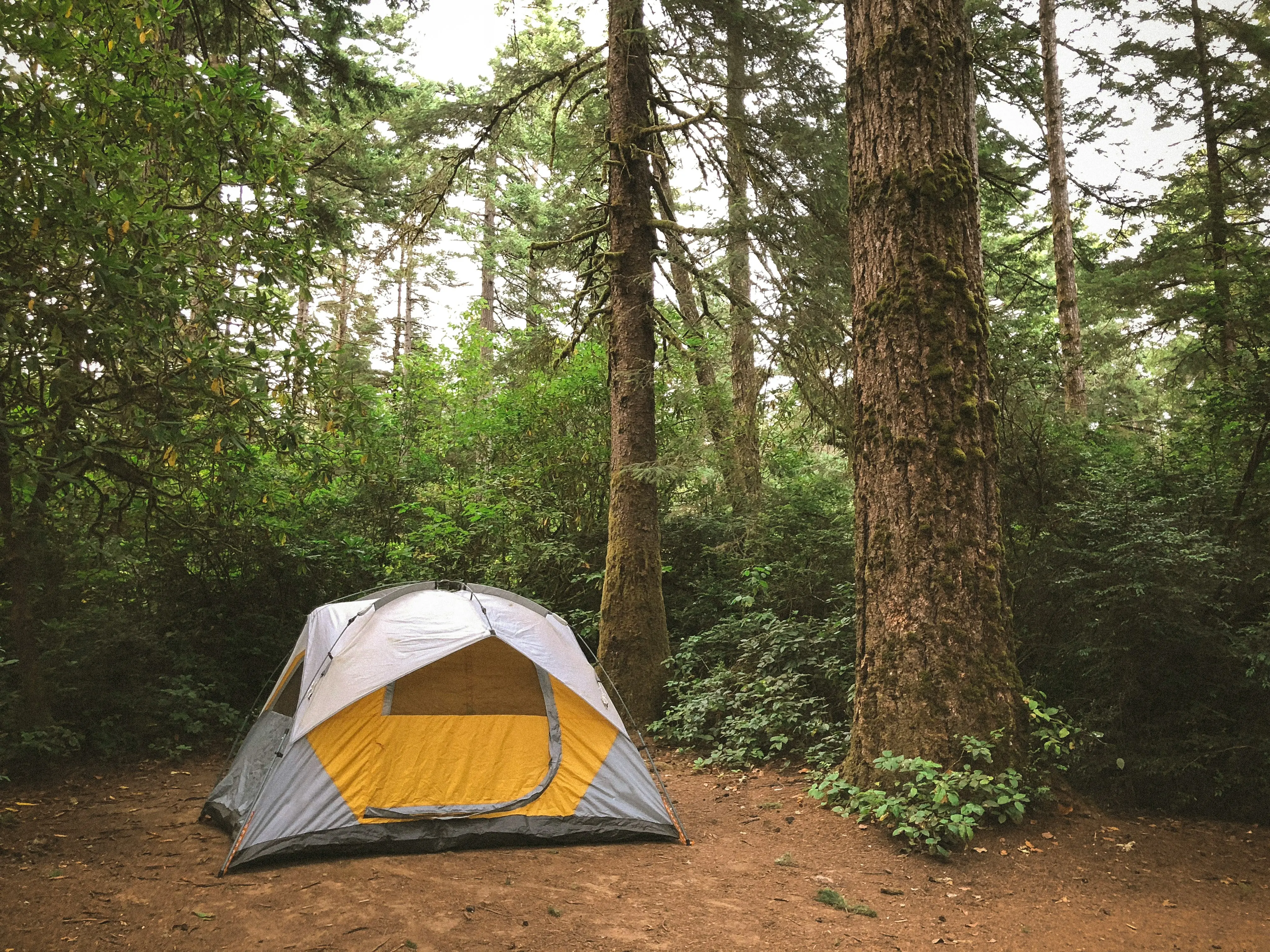 EDC Light vs Camp Light: What Is the Real Difference?